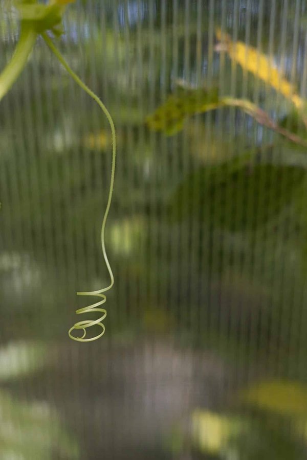 Comment les seniors peuvent-ils adapter leur routine de soins de la peau pour prévenir la sécheresse cutanée?