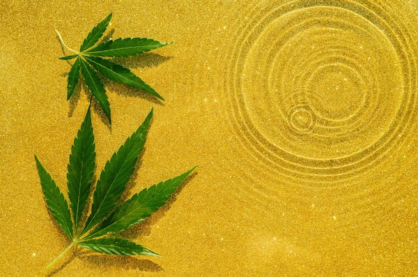 Tout savoir sur la résine cbd: bienfaits et utilisations